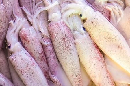 传统海产食品产市场新鱿鱼销售背图片素材